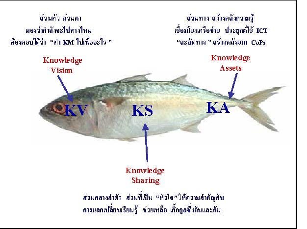 กล่องข้อความ: KV